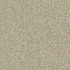 Flooring Wholesale Saxony Plus Xtra Toffee Carpet Swatch