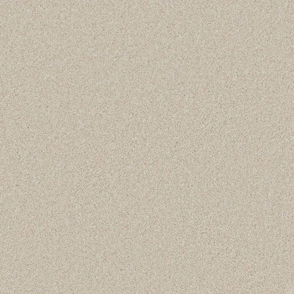 Flooring Wholesale Saxony Plus Desert Sand Carpet Swatch