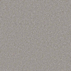 Flooring Wholesale Saxony Plus Xtra Storm Carpet Swatch