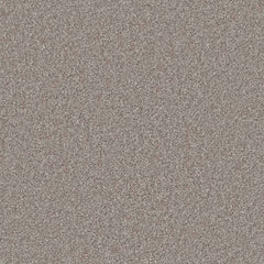 Flooring Wholesale Saxony Plus Light Ash Carpet
