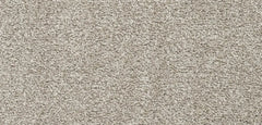 Flooring Wholesale Softness Beige Carpet wide swatch