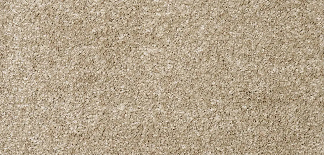 Flooring Wholesale Softness Quinoa Carpet wide swatch