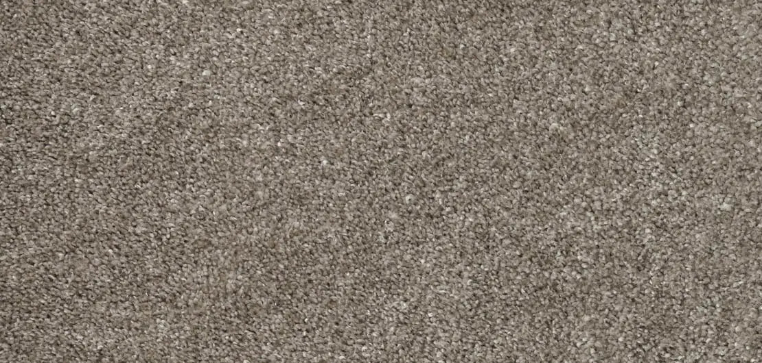 Flooring Wholesale Softness White Birch Carpet wide swatch