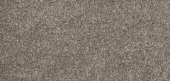 Flooring Wholesale Softness White Birch Carpet wide swatch