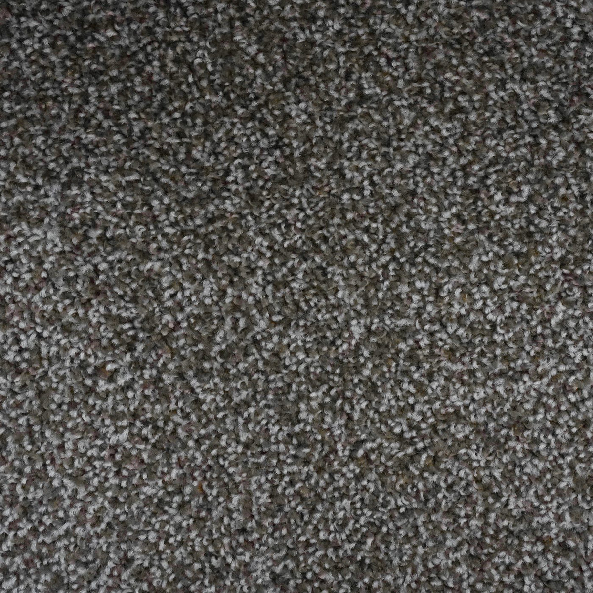 Artisan Taupe Carpet