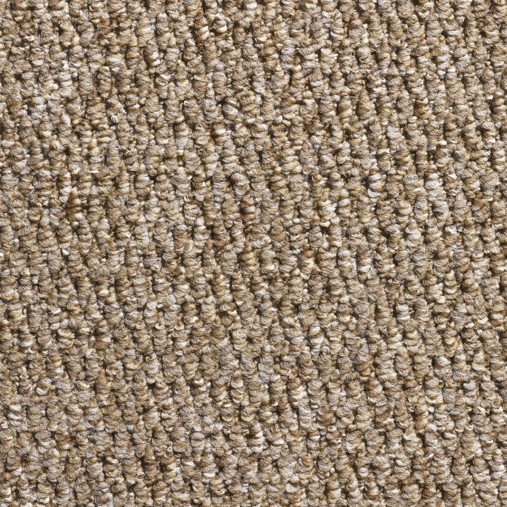 Glenmore Mink Carpet