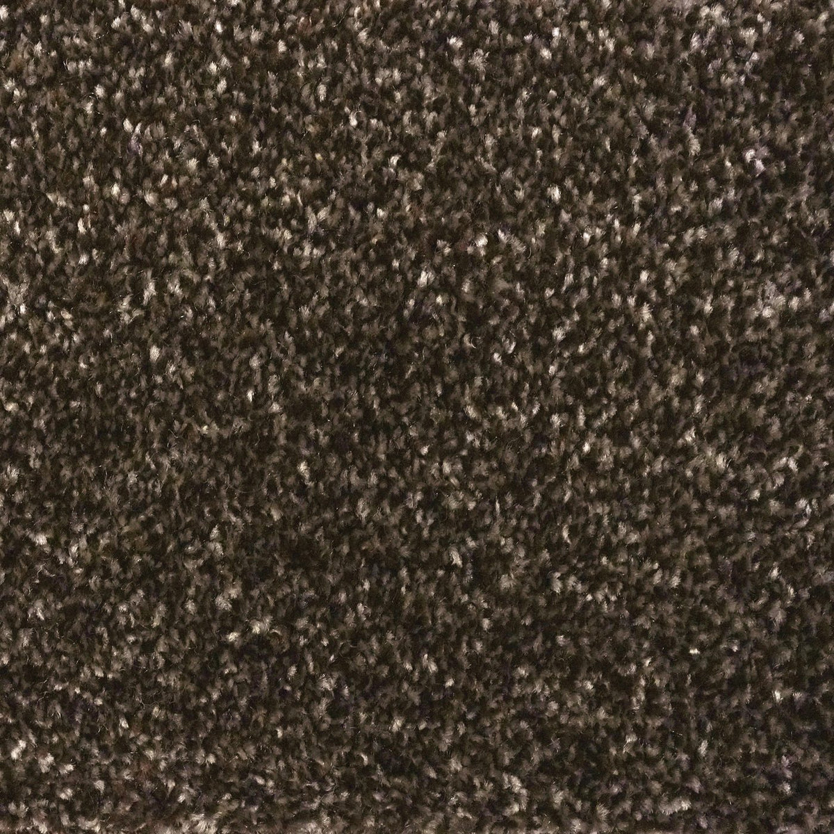 Optima Chocolate Carpet