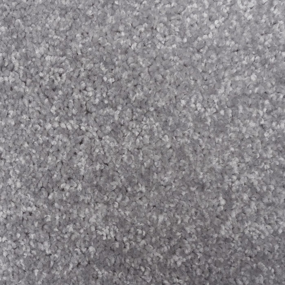 Optima Silver Carpet