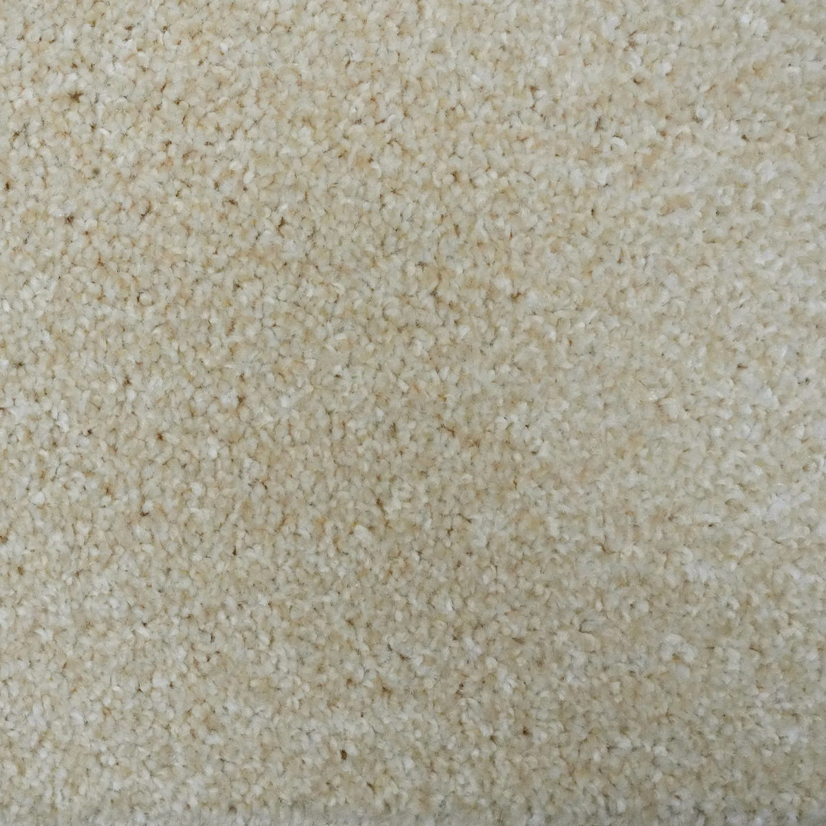 Optima Vanilla Carpet