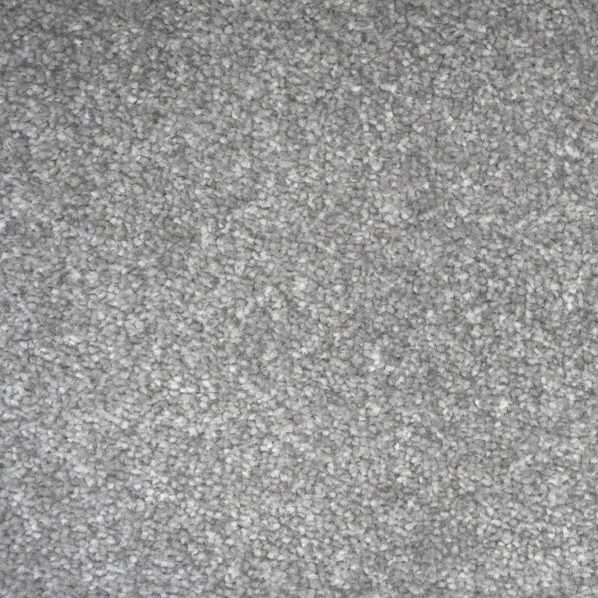 Veneto Elite Misty Grey Carpet