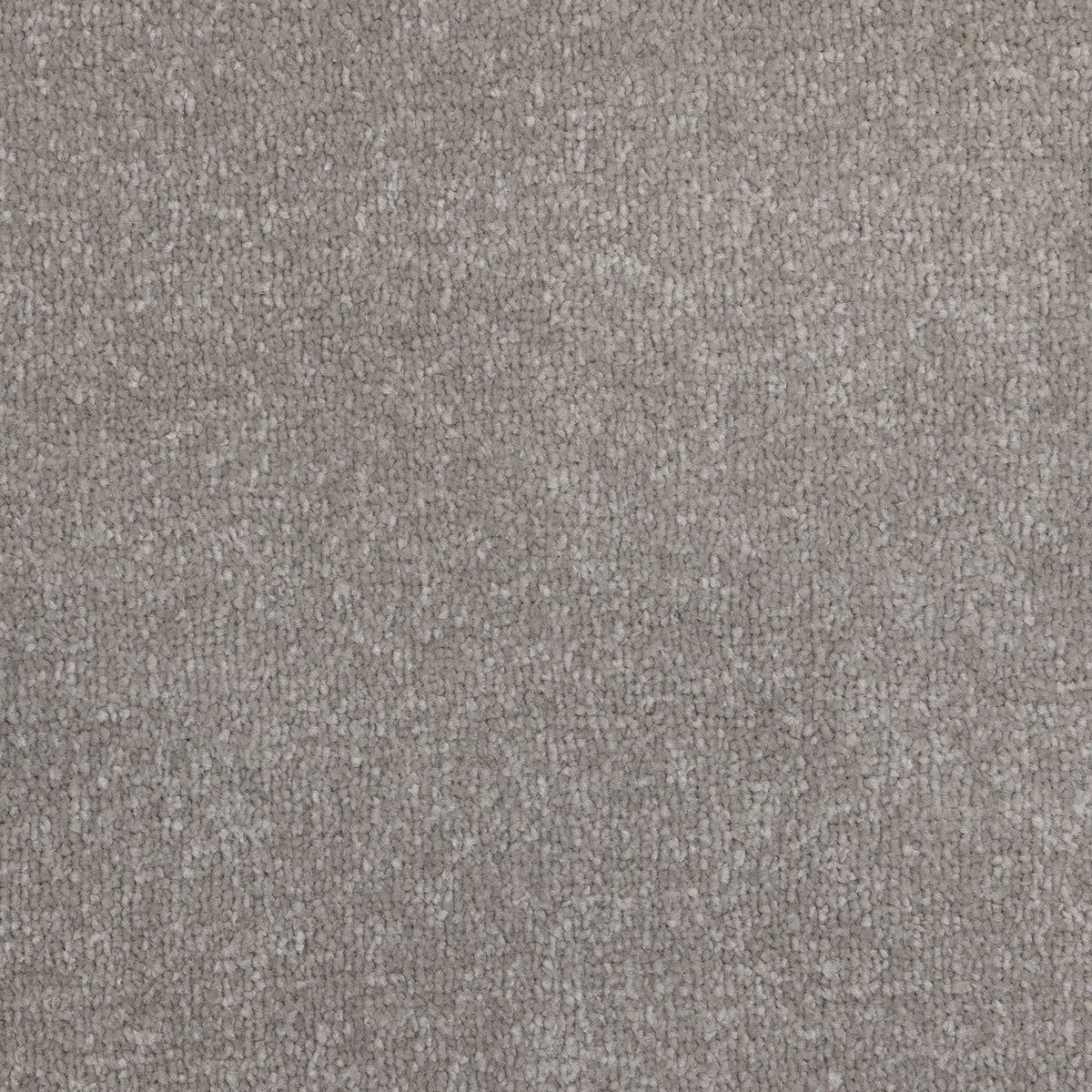 Veneto Elite Mushroom Carpet