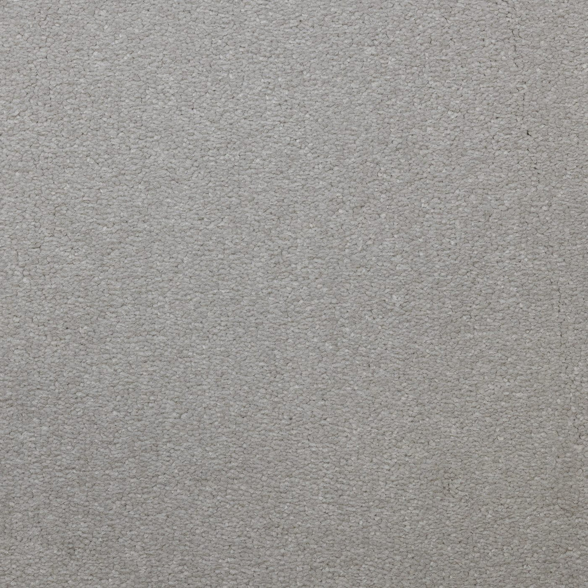 Veneto Elite Snowdrift Carpet