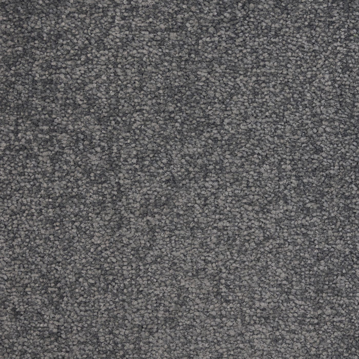 Verona Cocoa Carpet