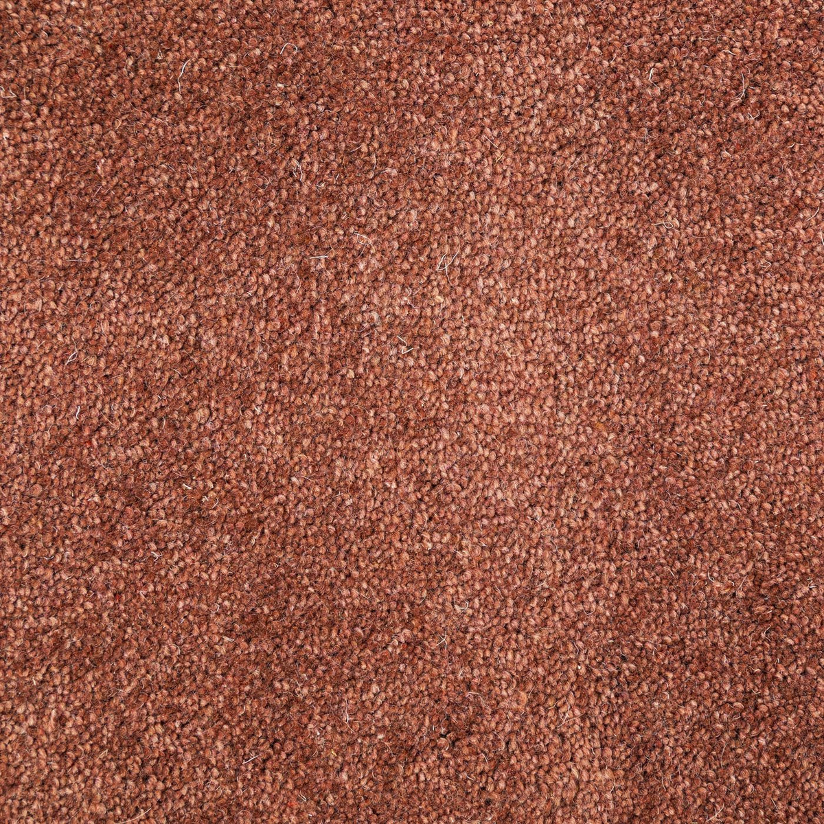 Windsor 40oz Rust Carpet