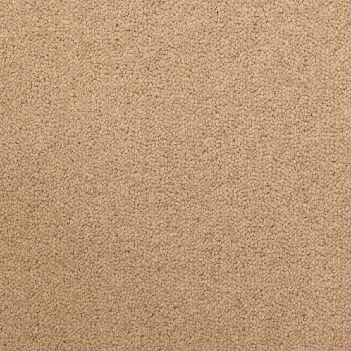 Windsor 40oz Sand Carpet