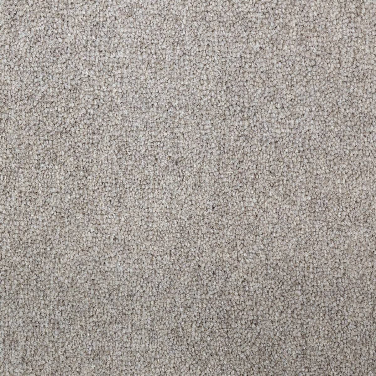 Windsor 60oz Dark Beige Carpet