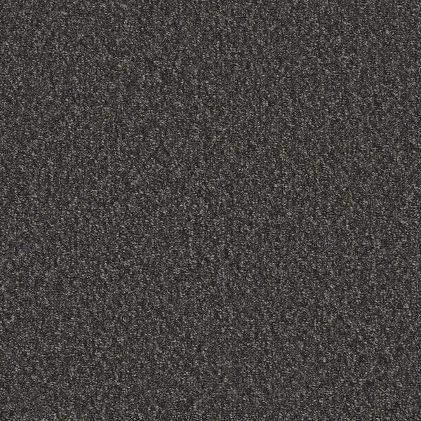 Flooring Wholesale Loop Midnight Carpet Swatch