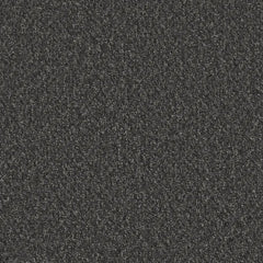 Flooring Wholesale Loop Midnight Carpet Swatch