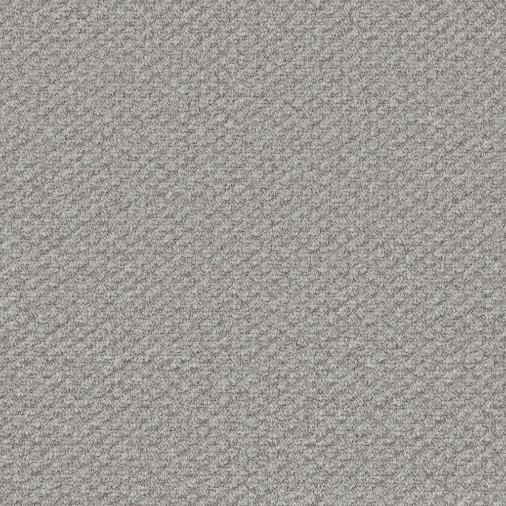 Flooring Wholesale Loop Cloud Carpet Swatch