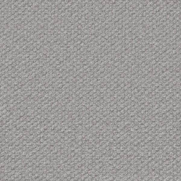 Flooring Wholesale Loop Cloud Carpet Swatch
