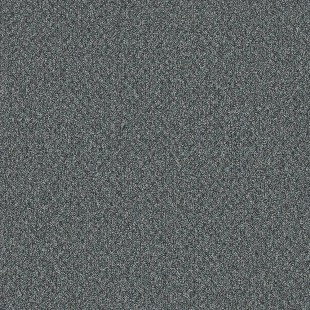 Flooring Wholesale Loop Saragossa Carpet