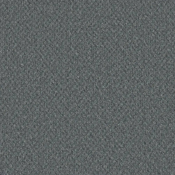 Flooring Wholesale Loop Saragossa Carpet