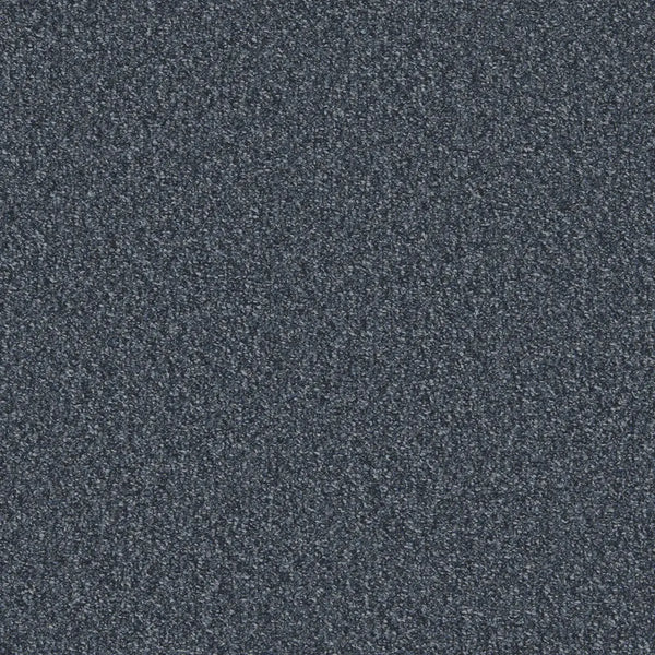 Flooring Wholesale Loop Prussia Carpet Swatch