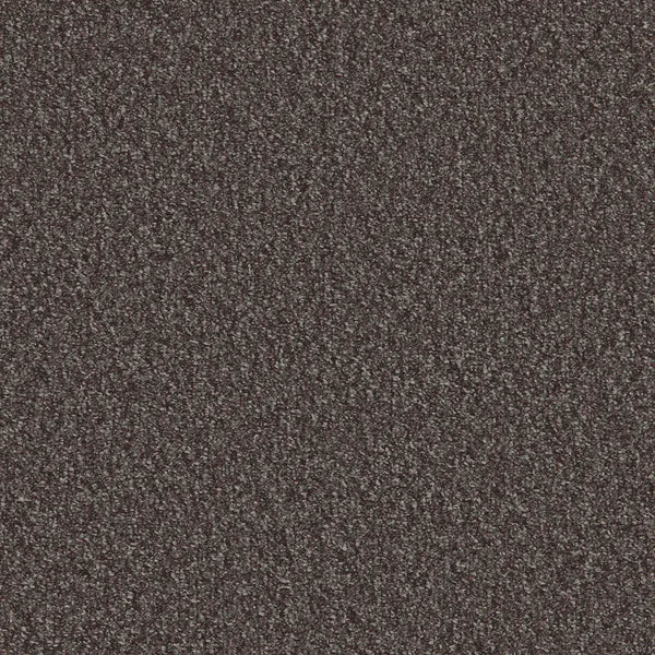 Flooring Wholesale Loop Granite Carpet Swatch