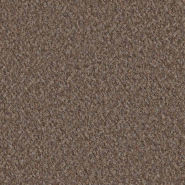 Flooring Wholesale Loop Heath Carpet Swatch
