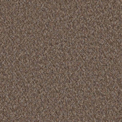 Flooring Wholesale Loop Heath Carpet Swatch
