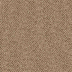 Loop Sandstone Swatch Image