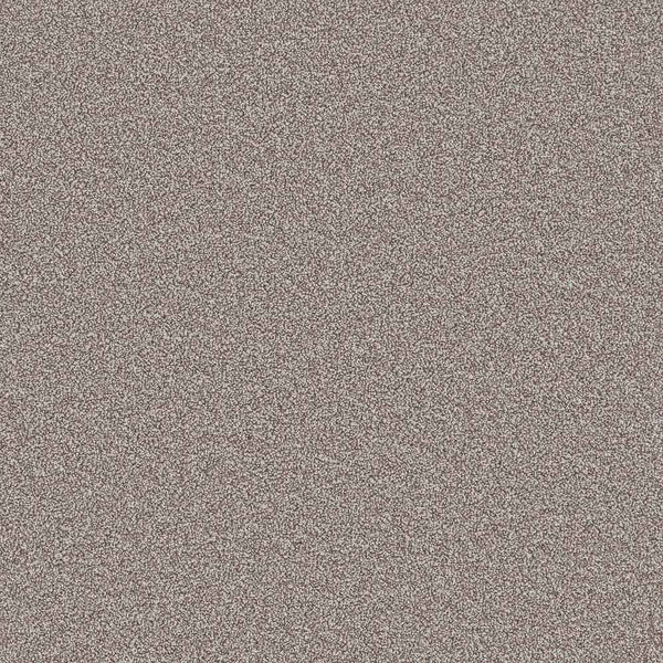 Flooring Wholesale Comfort Twist Savannah Carpet SWatch