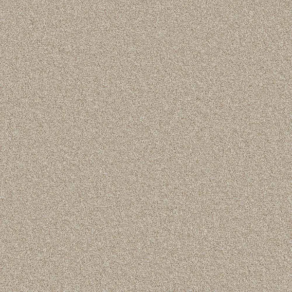 Flooring Wholesale Comfort Twist Indian Pepper Carpet Swatch