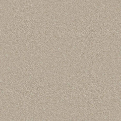 Flooring Wholesale Comfort Twist Indian Pepper Carpet Swatch