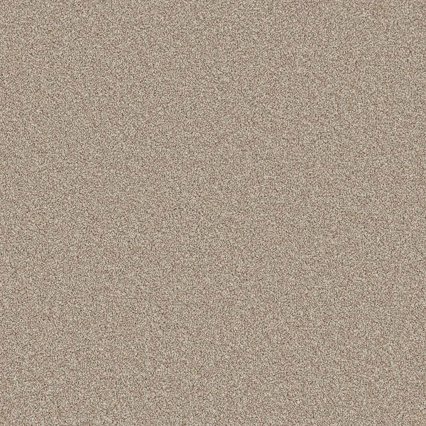 Flooring Wholesale Comfort Twist Cappuchino Carpet Swatch