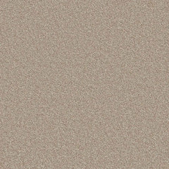 Flooring Wholesale Comfort Twist Cappuchino Carpet Swatch