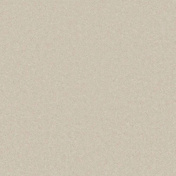 Flooring Wholesale Comfort Twist Hempseed Carpet Swatch