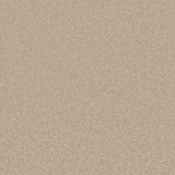 Flooring Wholesale Comfort Twist Conch Carpet Swatch