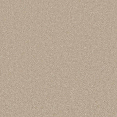 Flooring Wholesale Comfort Twist Conch Carpet Swatch