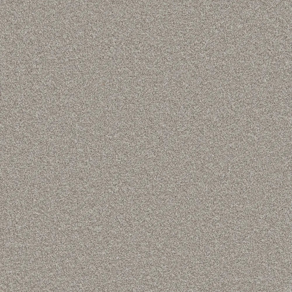 Flooring Wholesale Comfort Twist Woodsmoke Carpet swatch