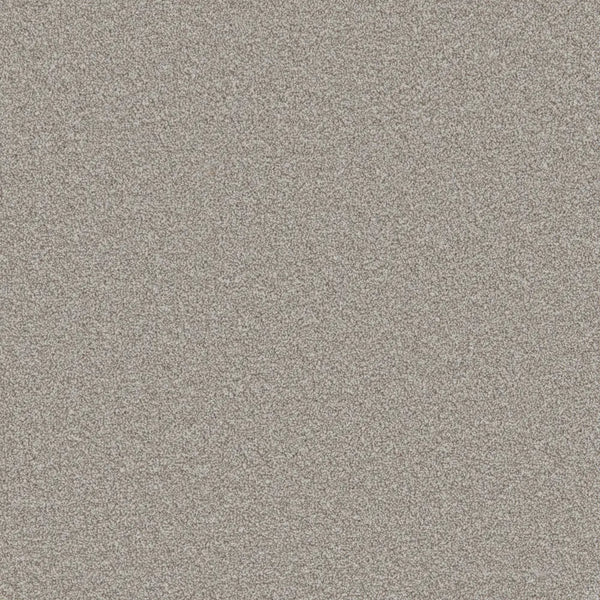 Flooring Wholesale Comfort Twist Woodsmoke Carpet swatch