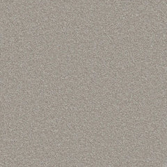 Flooring Wholesale Comfort Twist Woodsmoke Carpet swatch