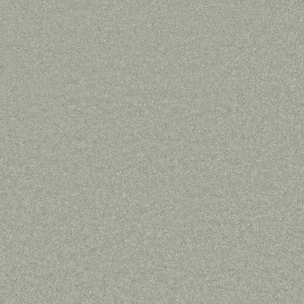 Flooring Wholesale Comfort Twist Winter Wheat Carpet Swatch