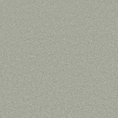 Flooring Wholesale Comfort Twist Winter Wheat Carpet Swatch