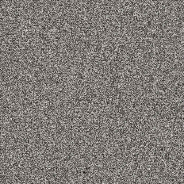 Flooring Wholesale Twist Xtra Starlight Carpet Swatch
