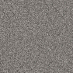 Flooring Wholesale Twist Xtra Starlight Carpet Swatch