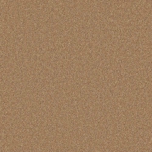 Flooring Wholesale Twist Xtra Oatmeal Carpet Swatch