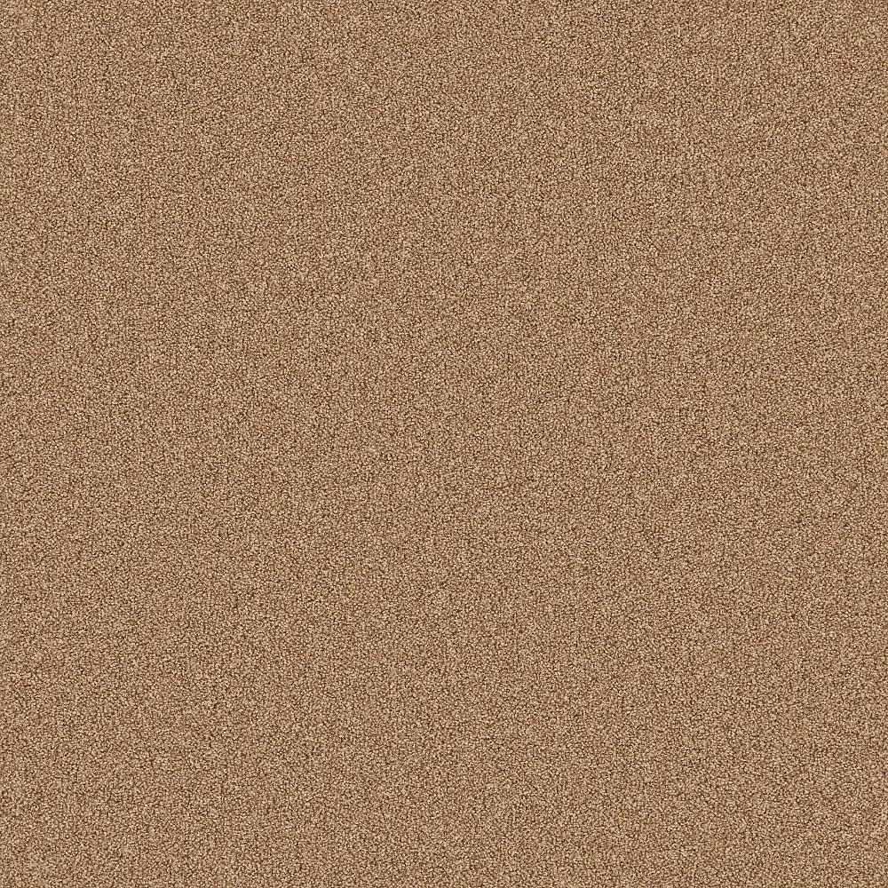 Flooring Wholesale Twist Xtra Oatmeal Carpet Swatch
