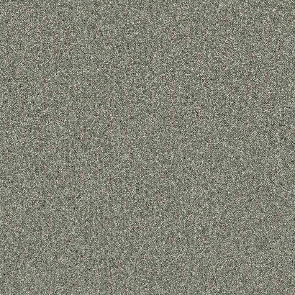 Flooring Wholesale Twist Xtra Evergreen Carpet Swatch