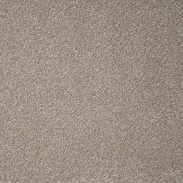 Flooring Wholesale Twist Xtra Mink Carpet Swatch